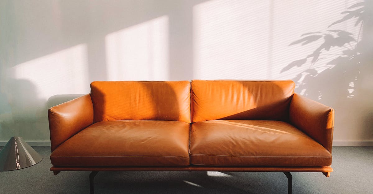 Stylish leather sofa with sunlit shadows in a contemporary home interior.